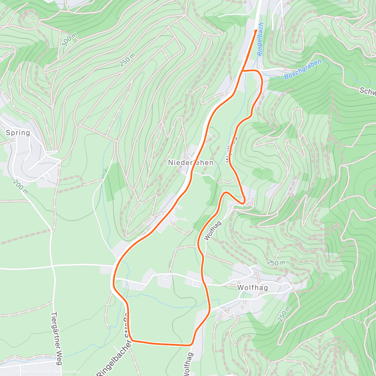 Map of the activity, Xmas Walk
