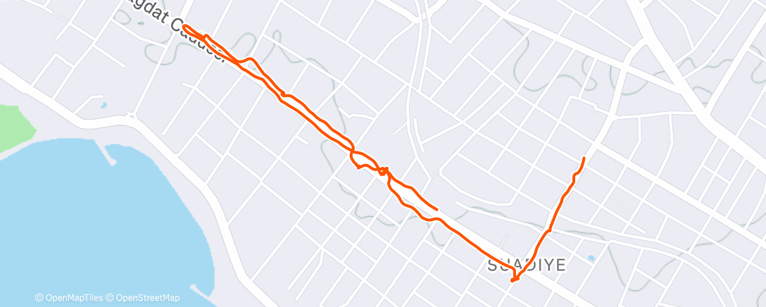 Карта физической активности (Afternoon Run)