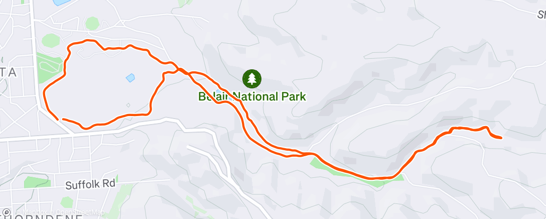Map of the activity, Morning Run