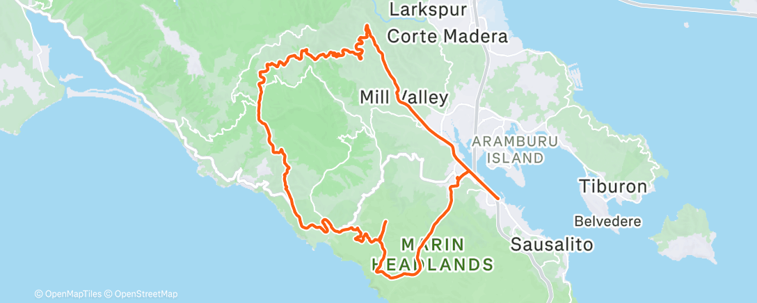 Map of the activity, shimmery