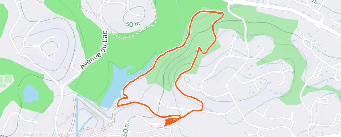Mappa dell'attività Marche dans l'après-midi