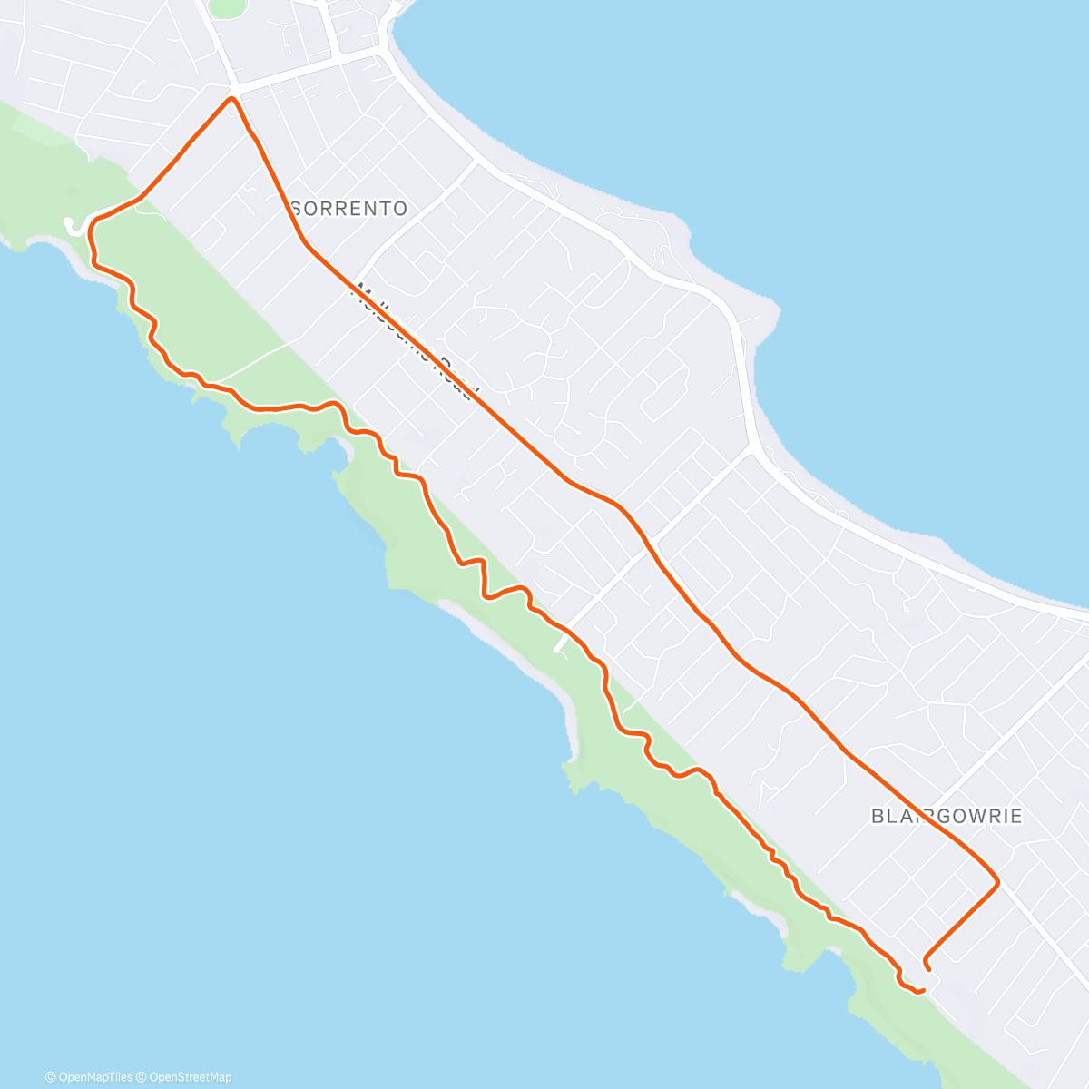 Карта физической активности (Lunch Run)