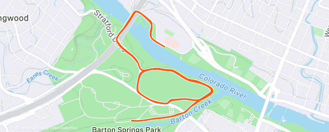 Map of the activity, AM T