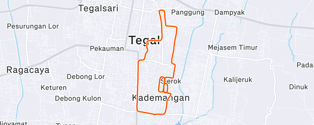 Map of the activity, Morning Run