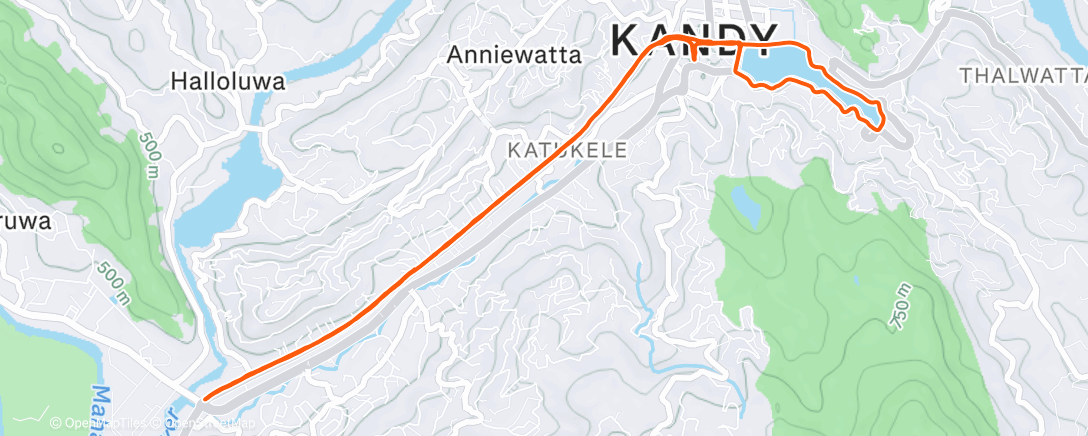 Map of the activity, Morning Run