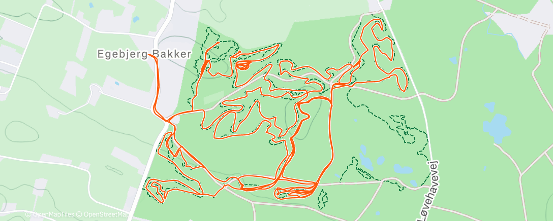 Карта физической активности (Skovhuggeren 🇩🇰)