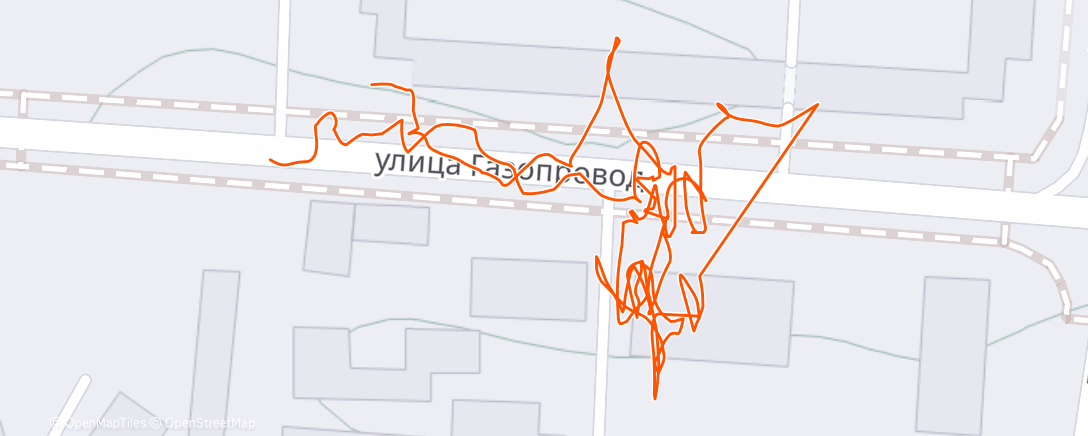 Карта физической активности (Дневной забег)