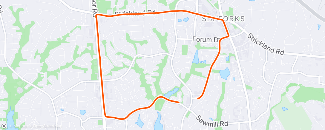 Map of the activity, Morning Run