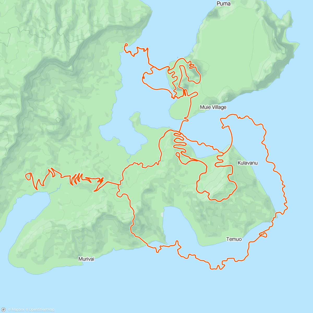 Map of the activity, Zwift - Watopia : Epic-Alpe-Epic Tower-Kom Rev-Domancy x2