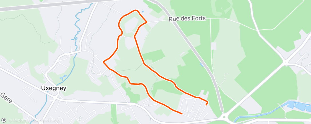 Карта физической активности (Marche dans l'après-midi)