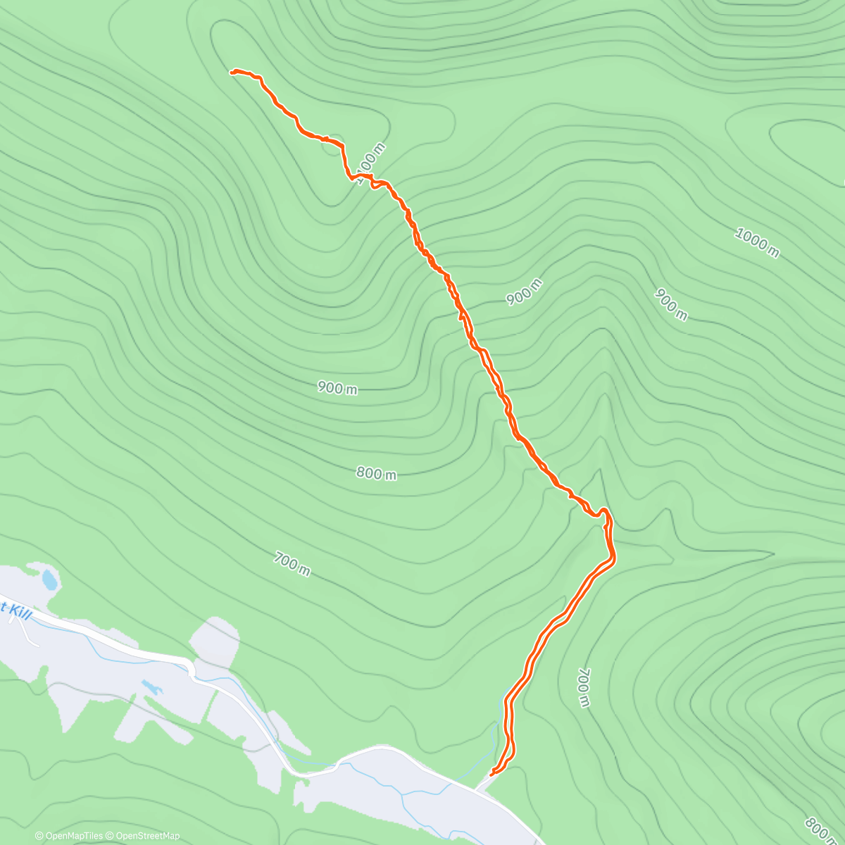 Map of the activity, Rusk with Alicia K