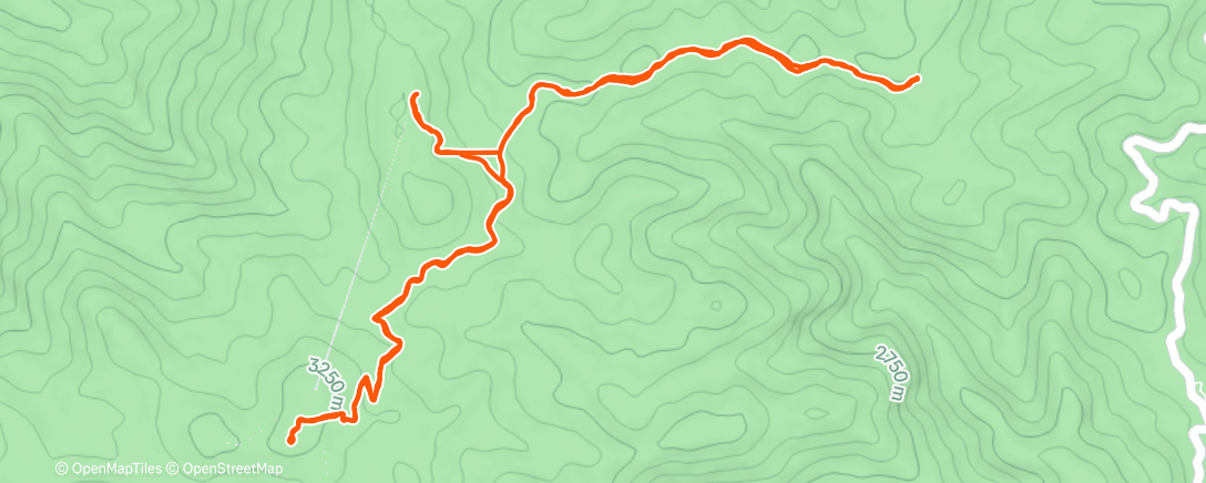 Карта физической активности (Carrera por la mañana)
