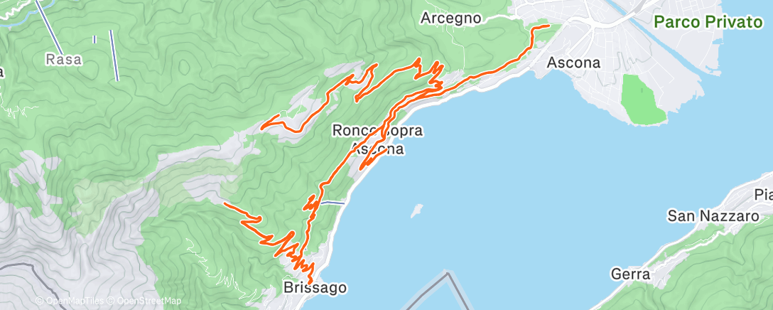 Карта физической активности (Ticino ☀️)