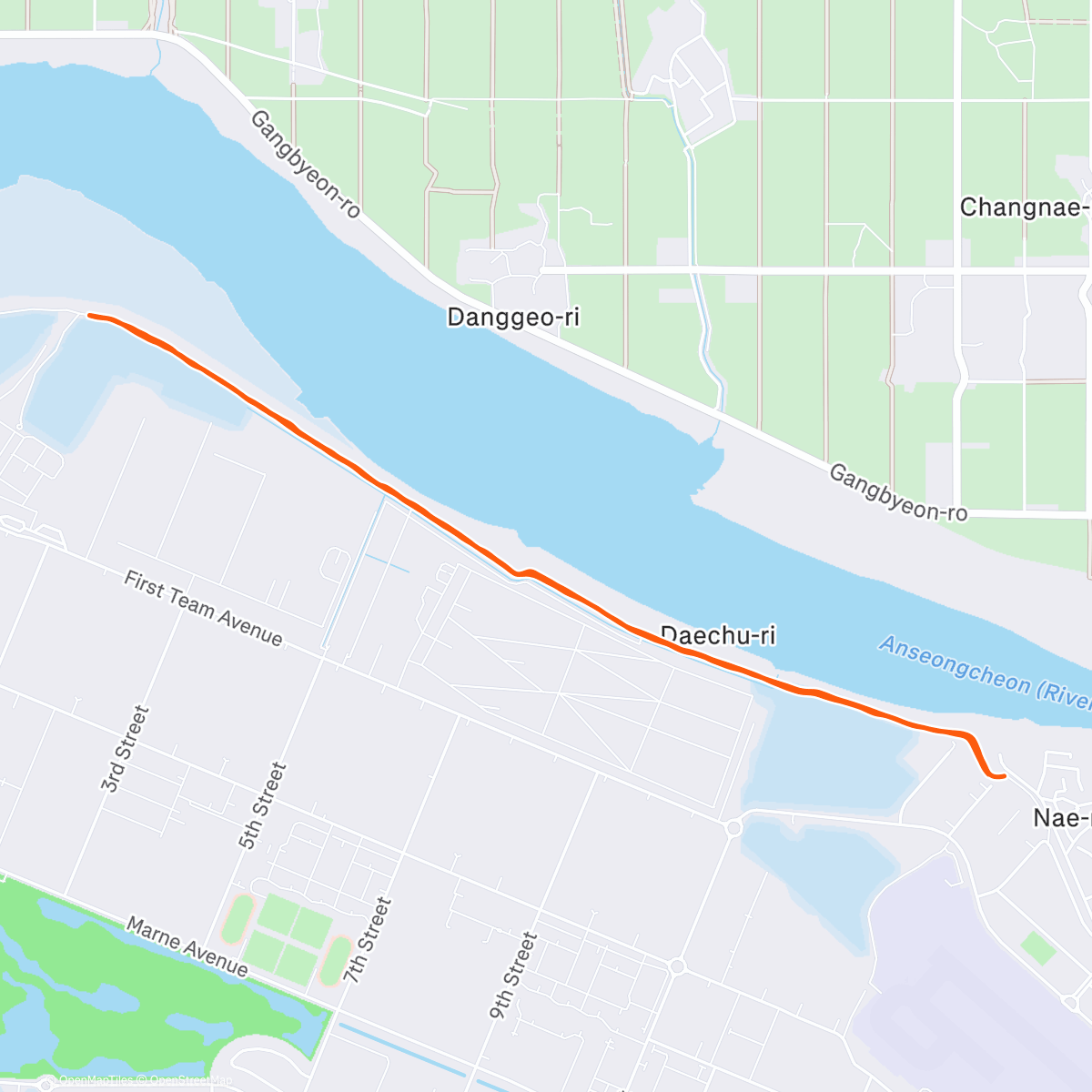 Карта физической активности (But life is just a party, And parties weren't meant to last)