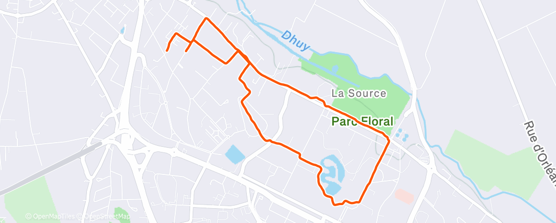 Map of the activity, Morning Run