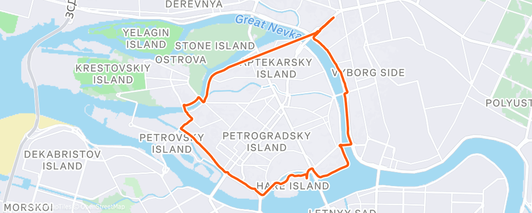 Карта физической активности (Дневной забег)