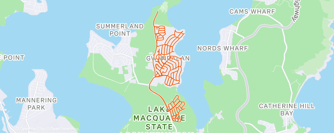 Map of the activity, Morning Ride