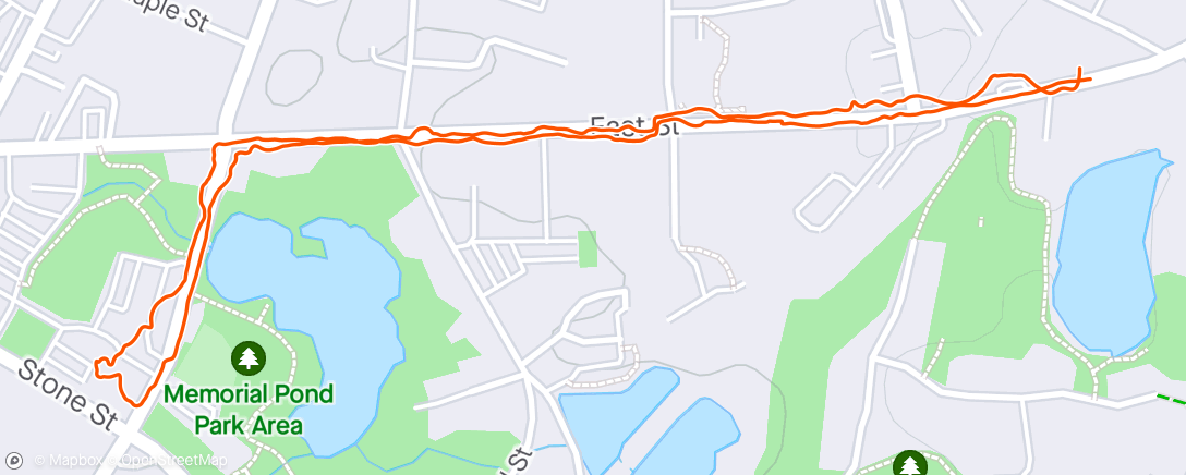 Map of the activity, Library walk