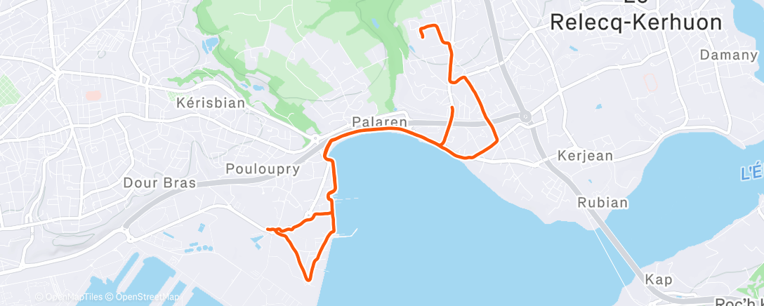 Карта физической активности (Evening Run)