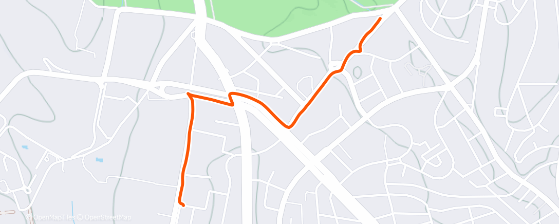 Map of the activity, Night Walk