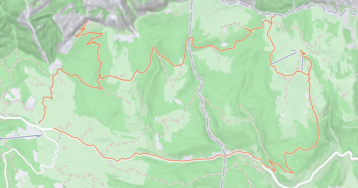 www.strava.com