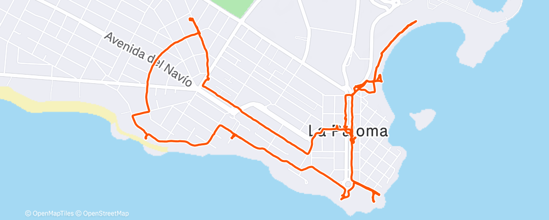 Карта физической активности (Bici)