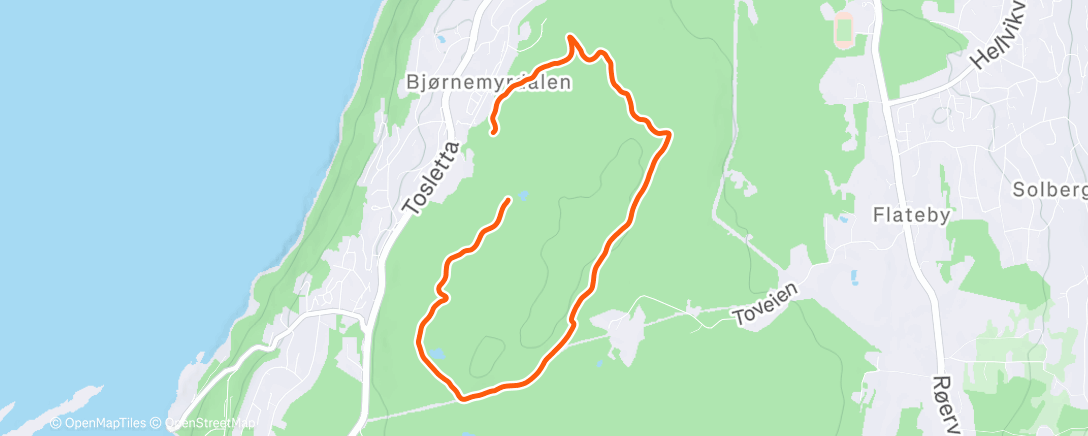 Карта физической активности (i skogen m Lena & hunden)