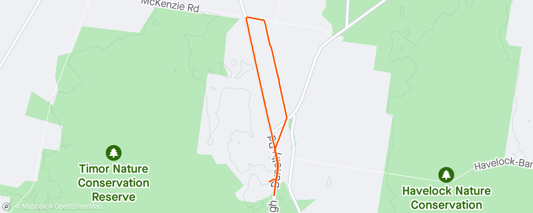 Map of the activity, Morning Run