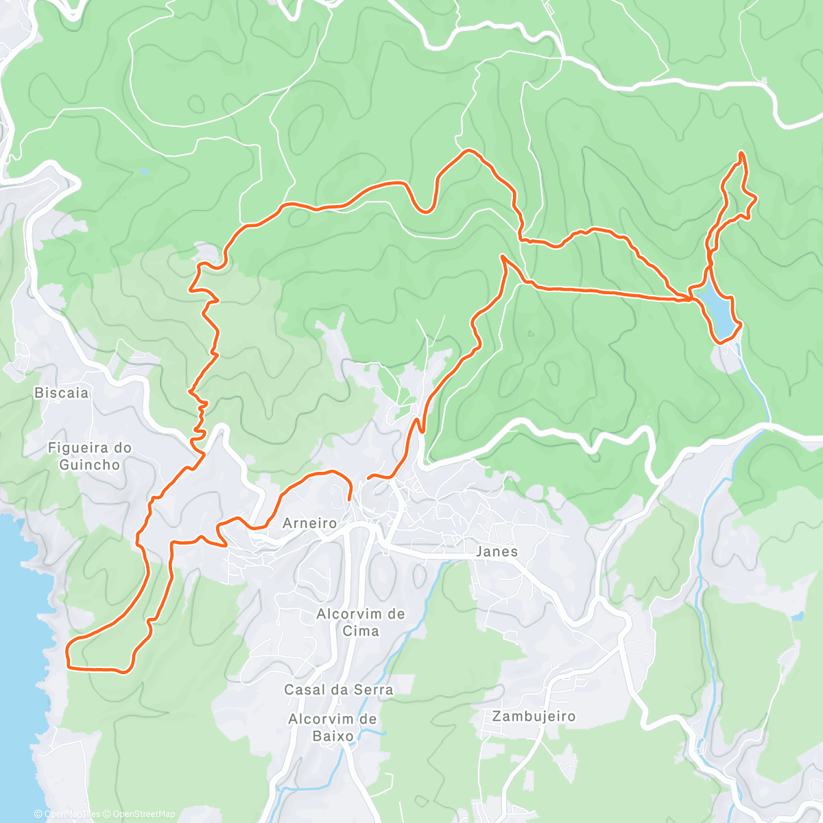 Карта физической активности (Morning Trail Run)