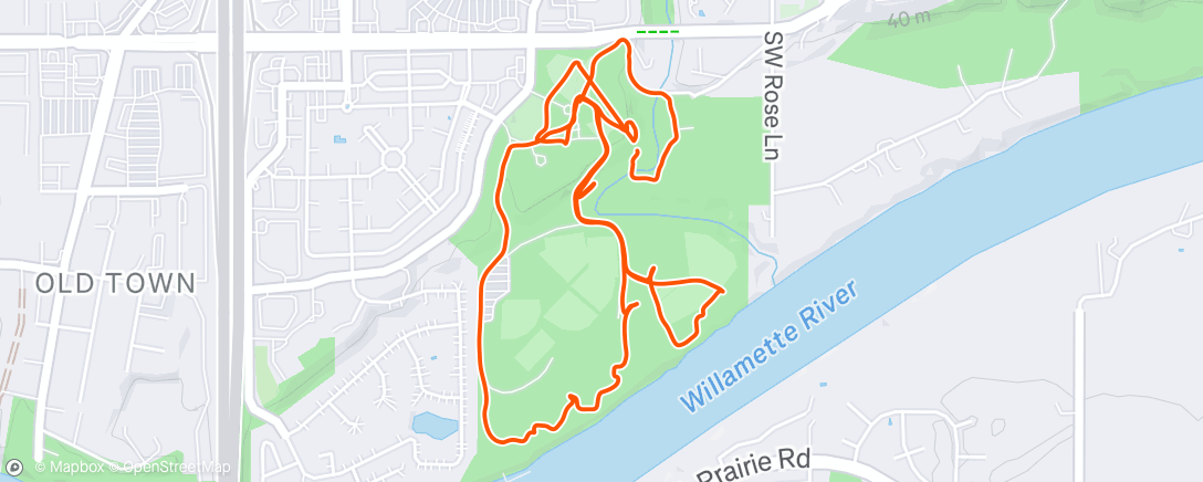 Mapa de la actividad (Memorial park orienteering race)