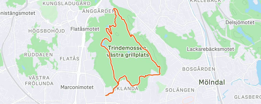 Карта физической активности (Morning Run)