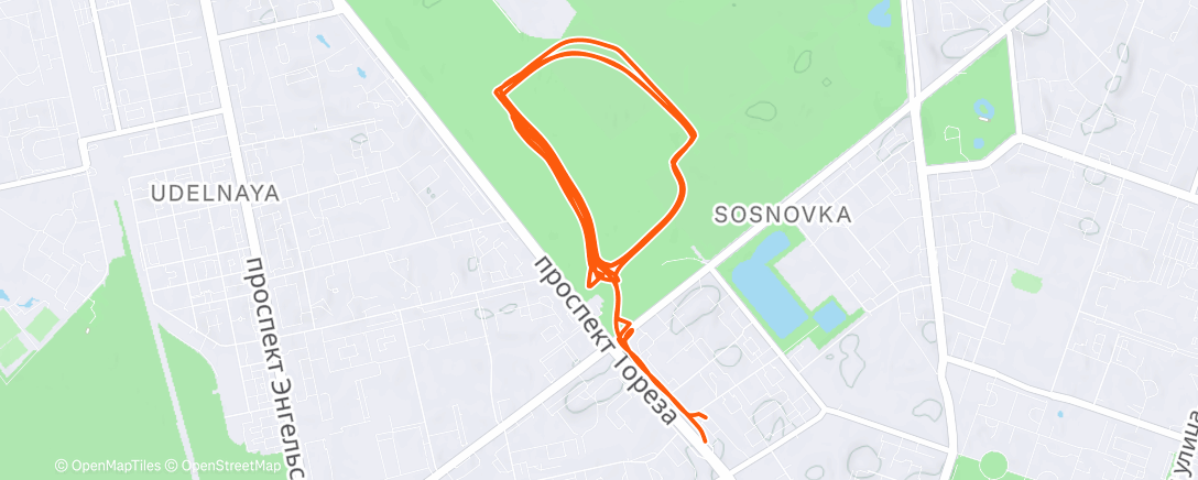 Map of the activity, Утренний забег