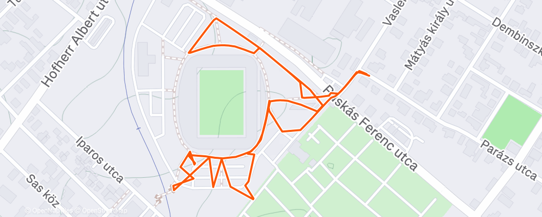 Карта физической активности (Hóhelyzet🤭🐶)