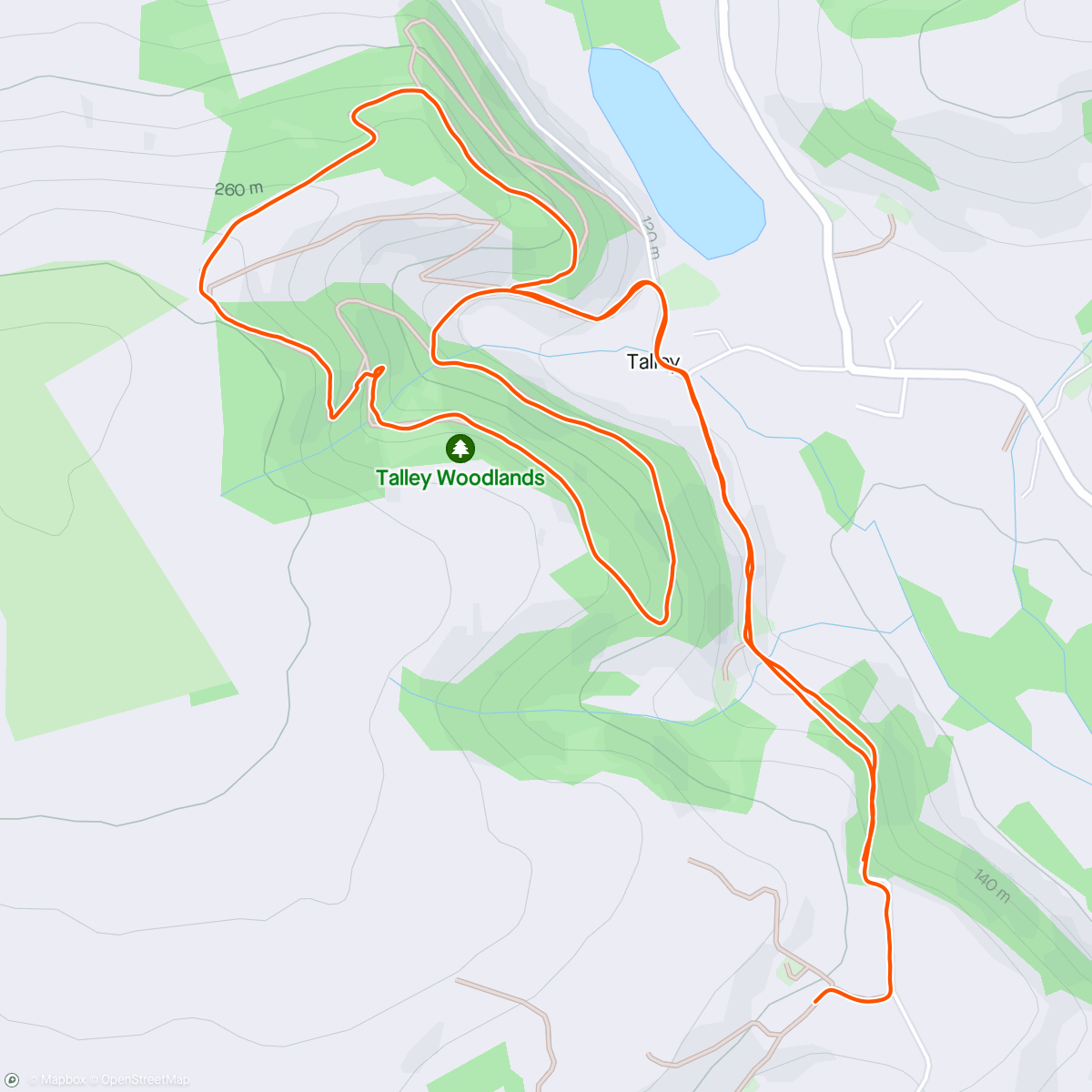 Map of the activity, Talley Forest Trail