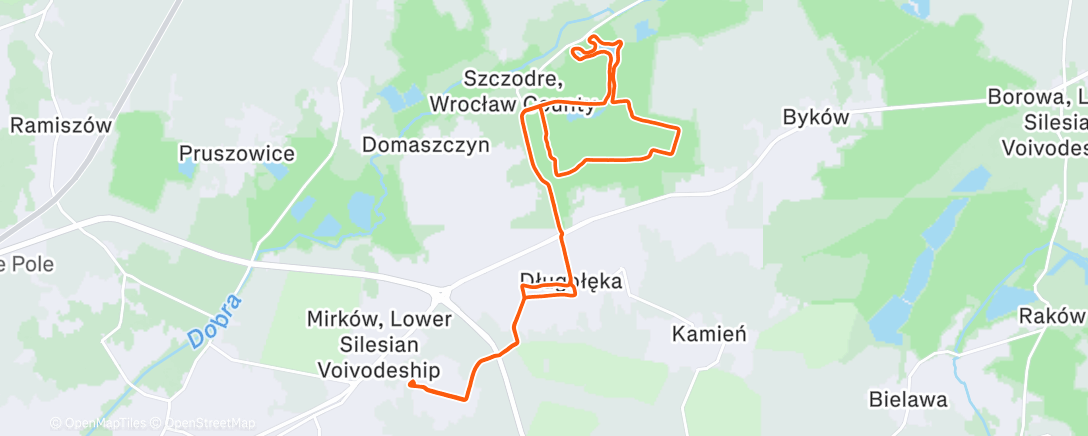 Mappa dell'attività Morning Run