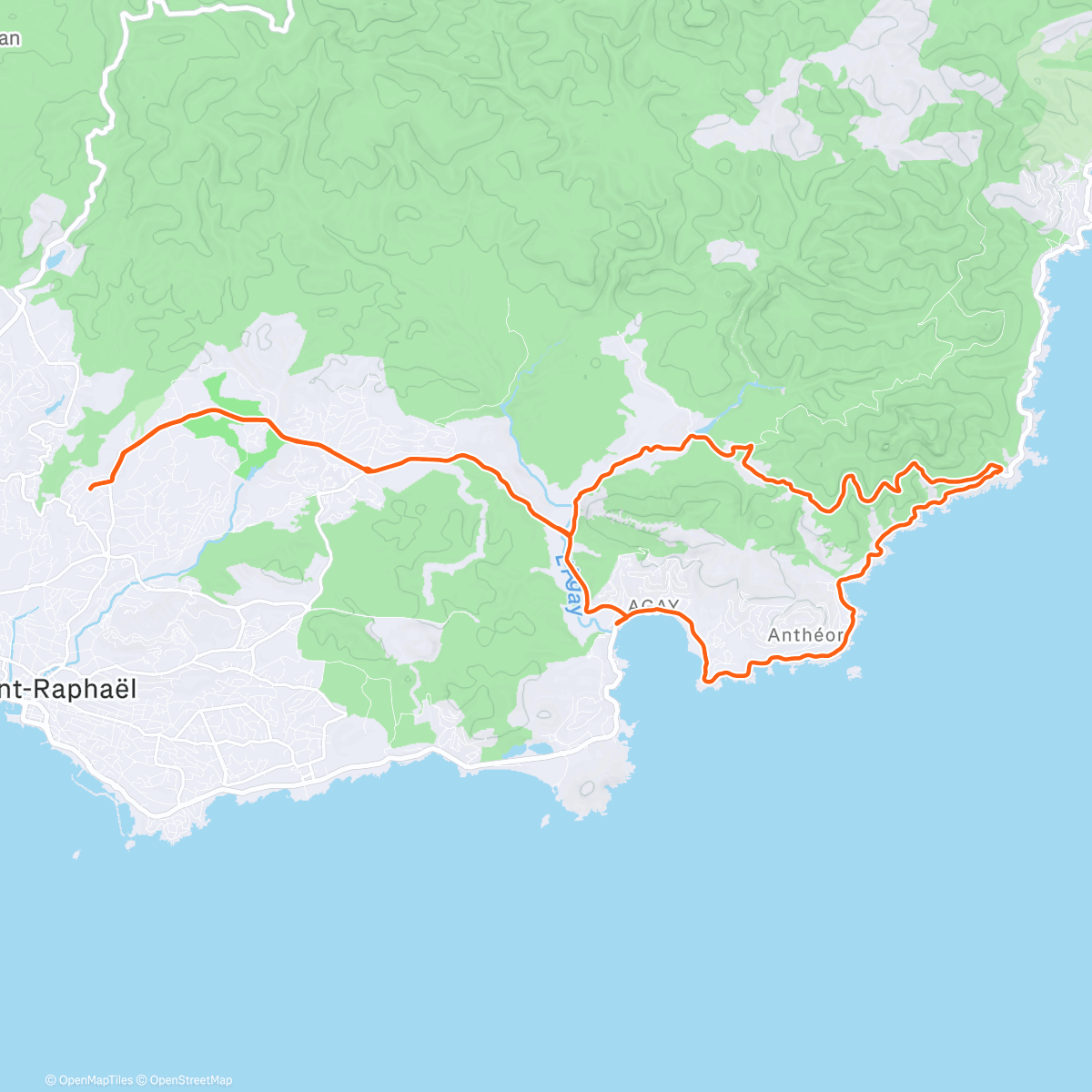 Map of the activity, Bonne année!! ✨🥂💛🎉