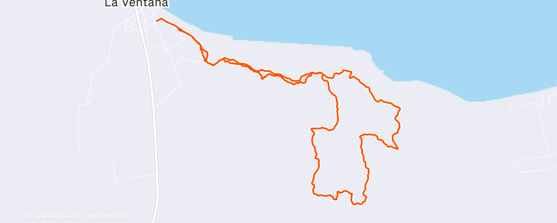 Map of the activity, Cactus club