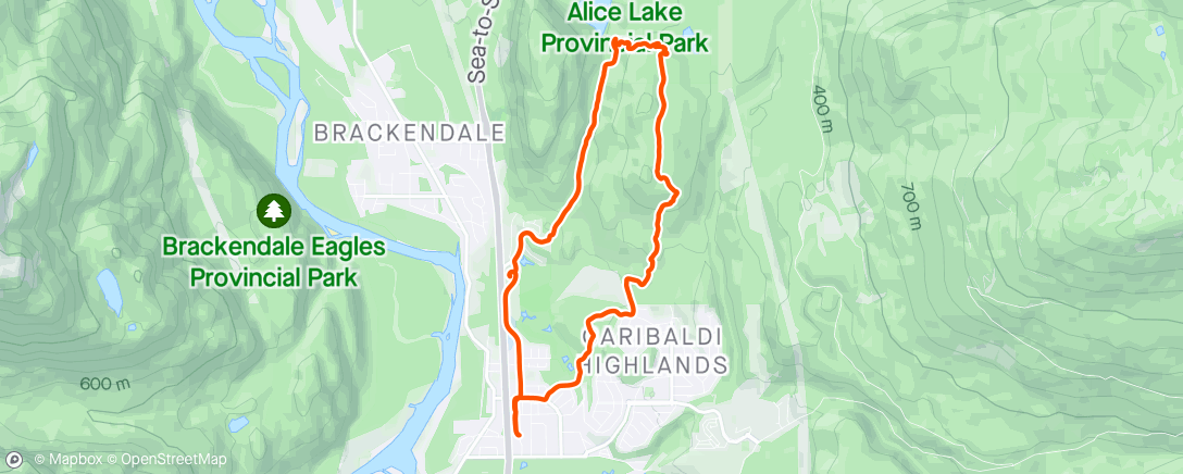 Map of the activity, Stage 3 practice