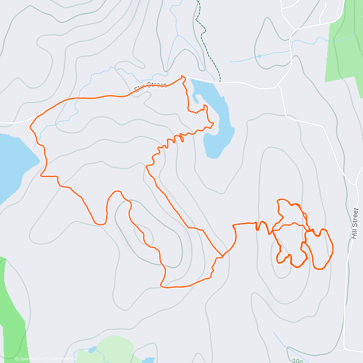 Map of the activity, Elm Fattie