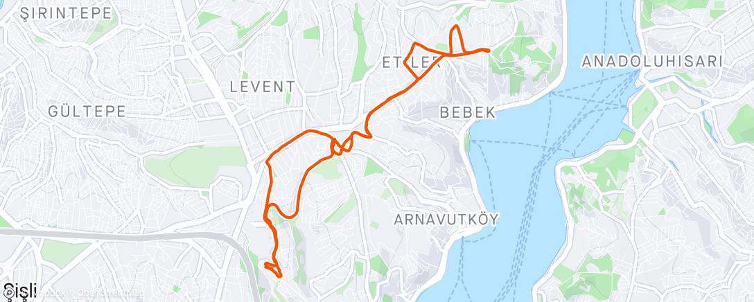 Map of the activity, 29/04/2024 | 1 Hour Run | Istanbul, Turkey