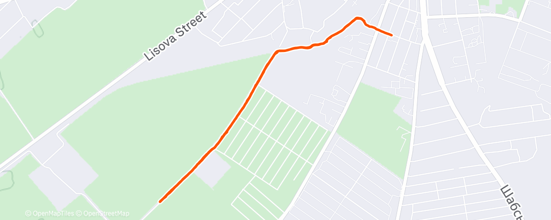 Карта физической активности (Afternoon Walk)