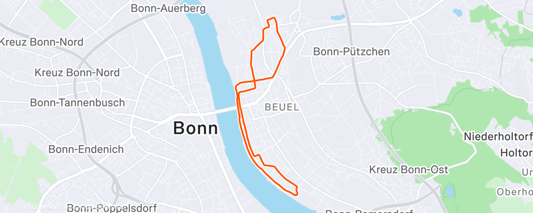 Map of the activity, Disziplinariooooo 🫡