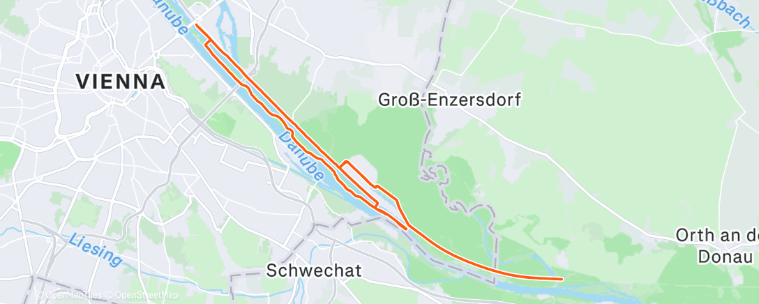 Map of the activity, 1st in 2026 🤩🥳