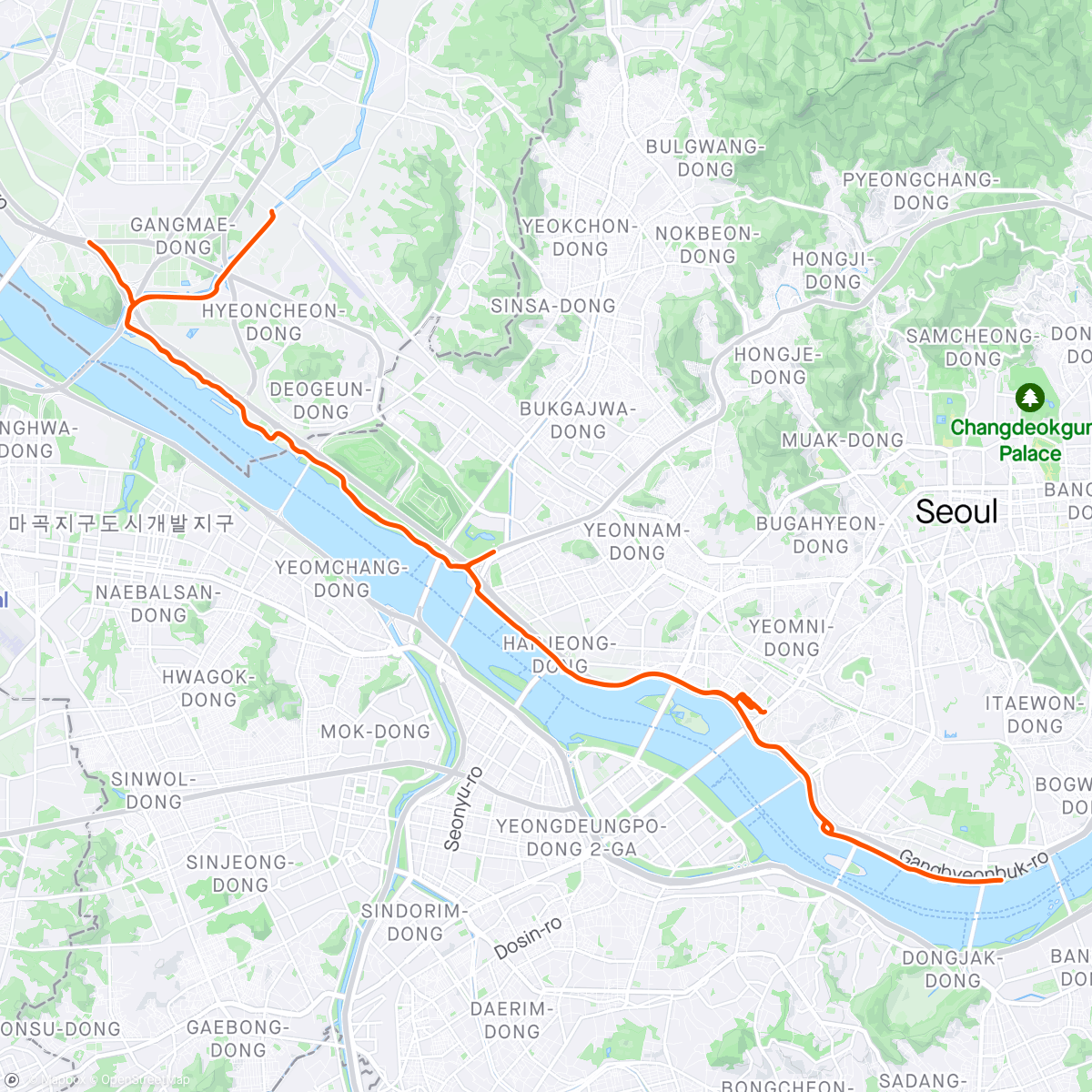 Map of the activity, Seoul with the Little One