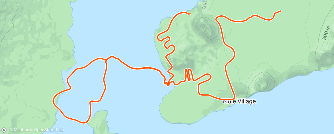 Map of the activity, spat