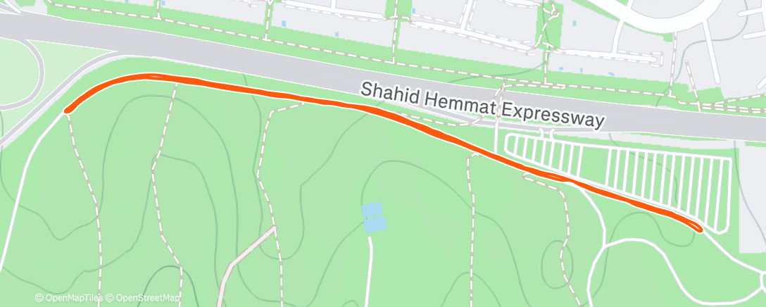 Карта физической активности (Evening Run)