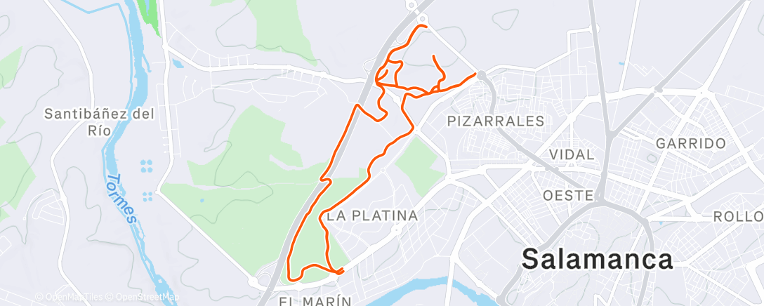 Карта физической активности (Afternoon Trail Run)