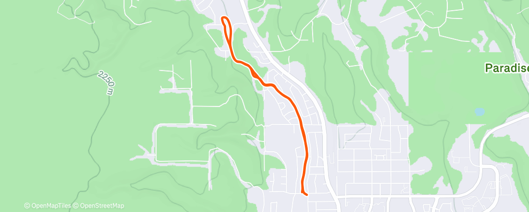 Mapa de la actividad (Morning Run)