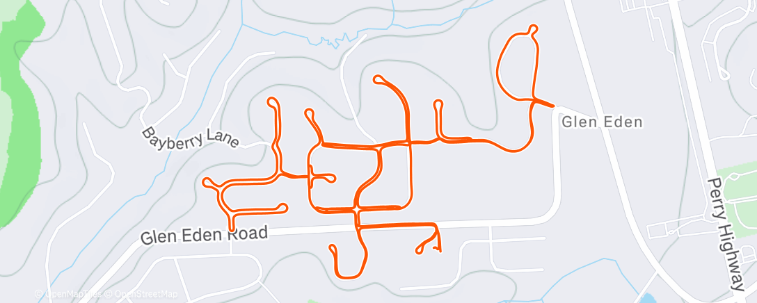 Map of the activity, Morning Run