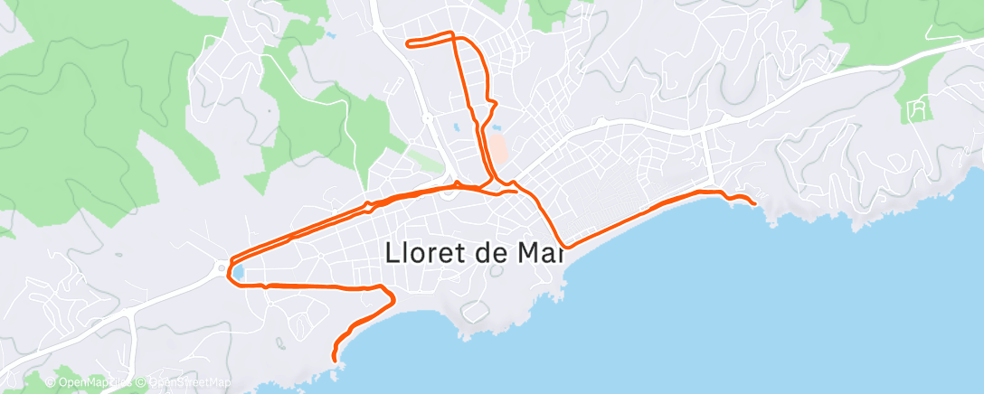 Map of the activity, Вечерний забег